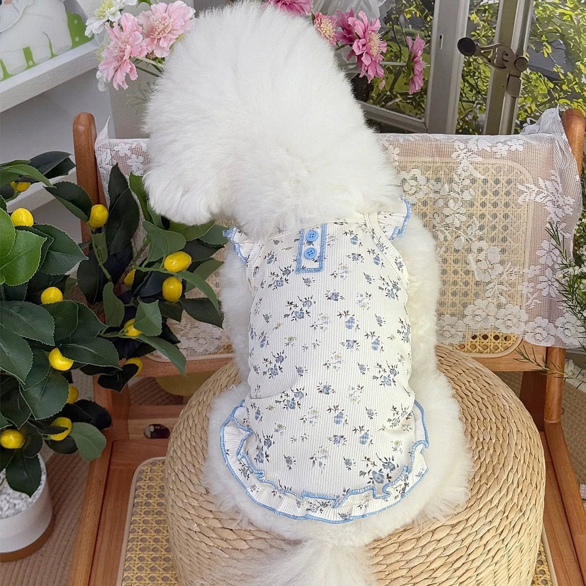 Floral Ruffle Tulle Dog Dress, Soft Breathable Cute Puppy Princess Tutu Outfit, Lightweight Pet Party Wedding Photo Clothes for Small Dogs Bichon Pomeranian Yorkie | | Furwander.