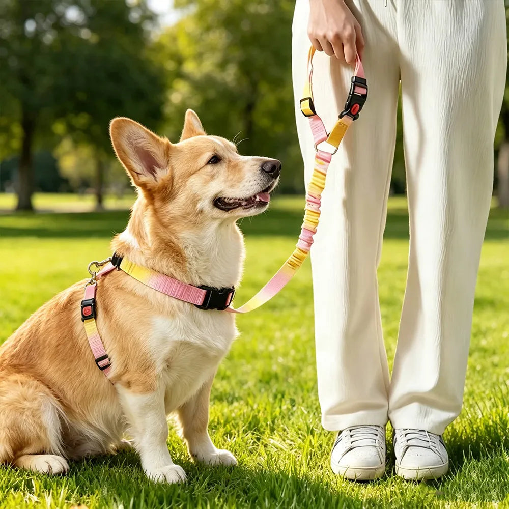 Pet Safety Belt for Car – Shock-Absorbing, Tangle-Free Dog Harness with Strong Metal Hook | Travel Safe for Dogs & Cats