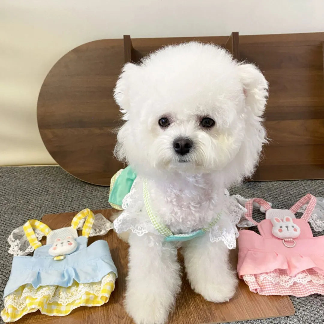 Cute Bunny Lace Pet Harness Dress, Adjustable Dog Walking Vest Skirt with D-Ring for Small Dogs Cats